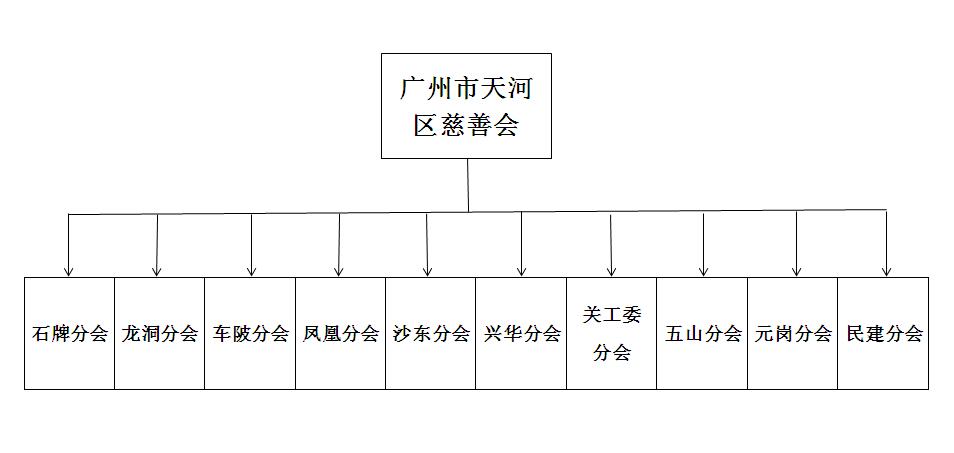 分会